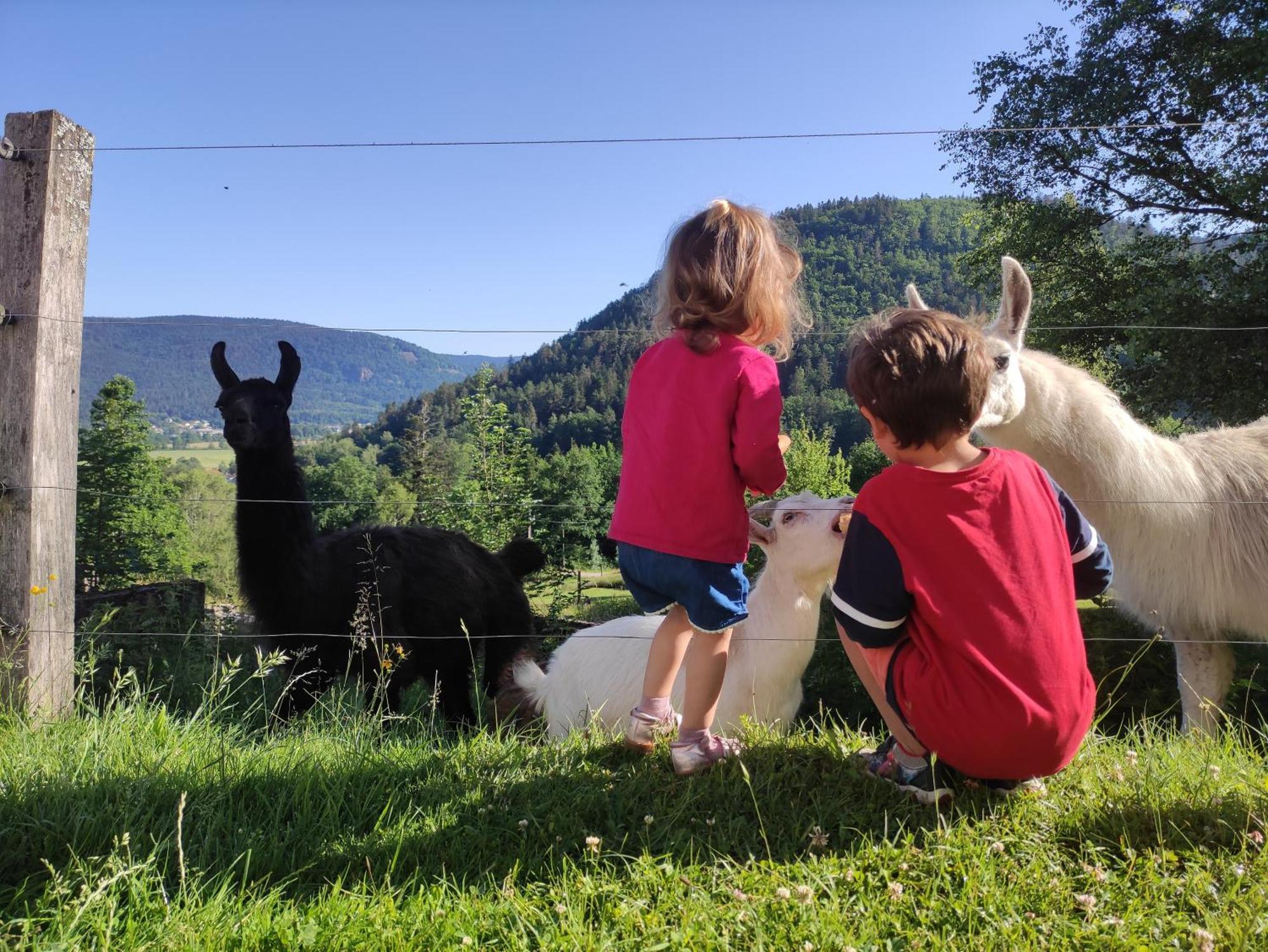 A L'Oree Du Bois Dommartin-lès-Remiremont Pokój zdjęcie