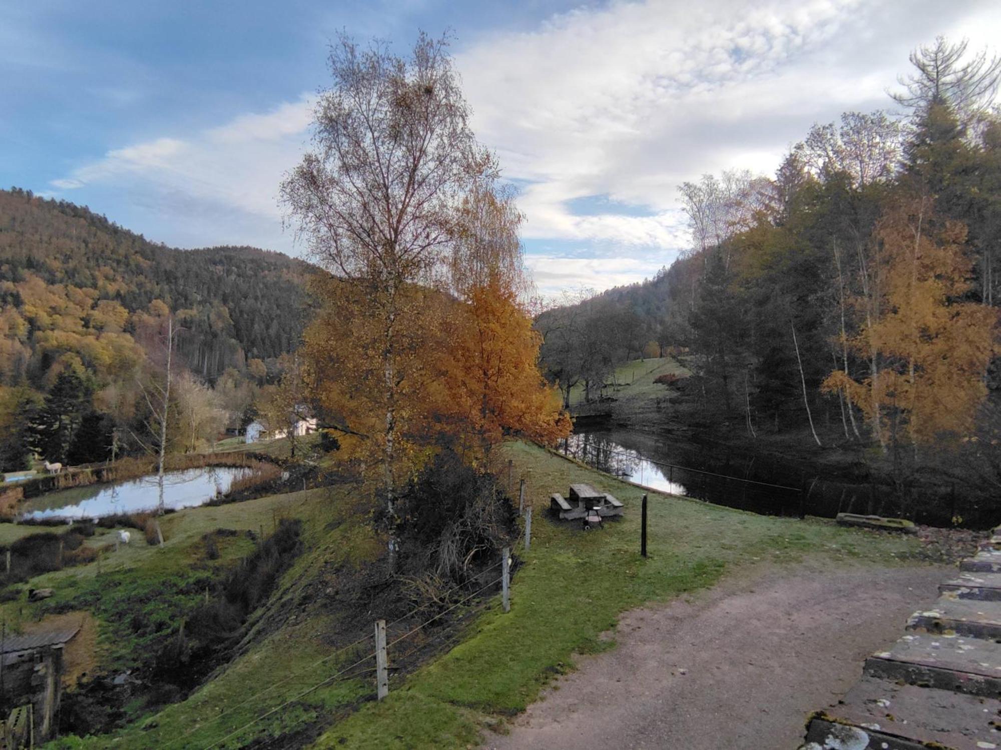 A L'Oree Du Bois Dommartin-lès-Remiremont Pokój zdjęcie
