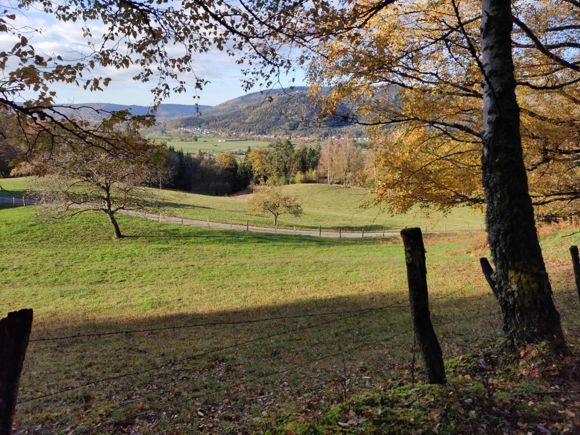A L'Oree Du Bois Dommartin-lès-Remiremont Pokój zdjęcie