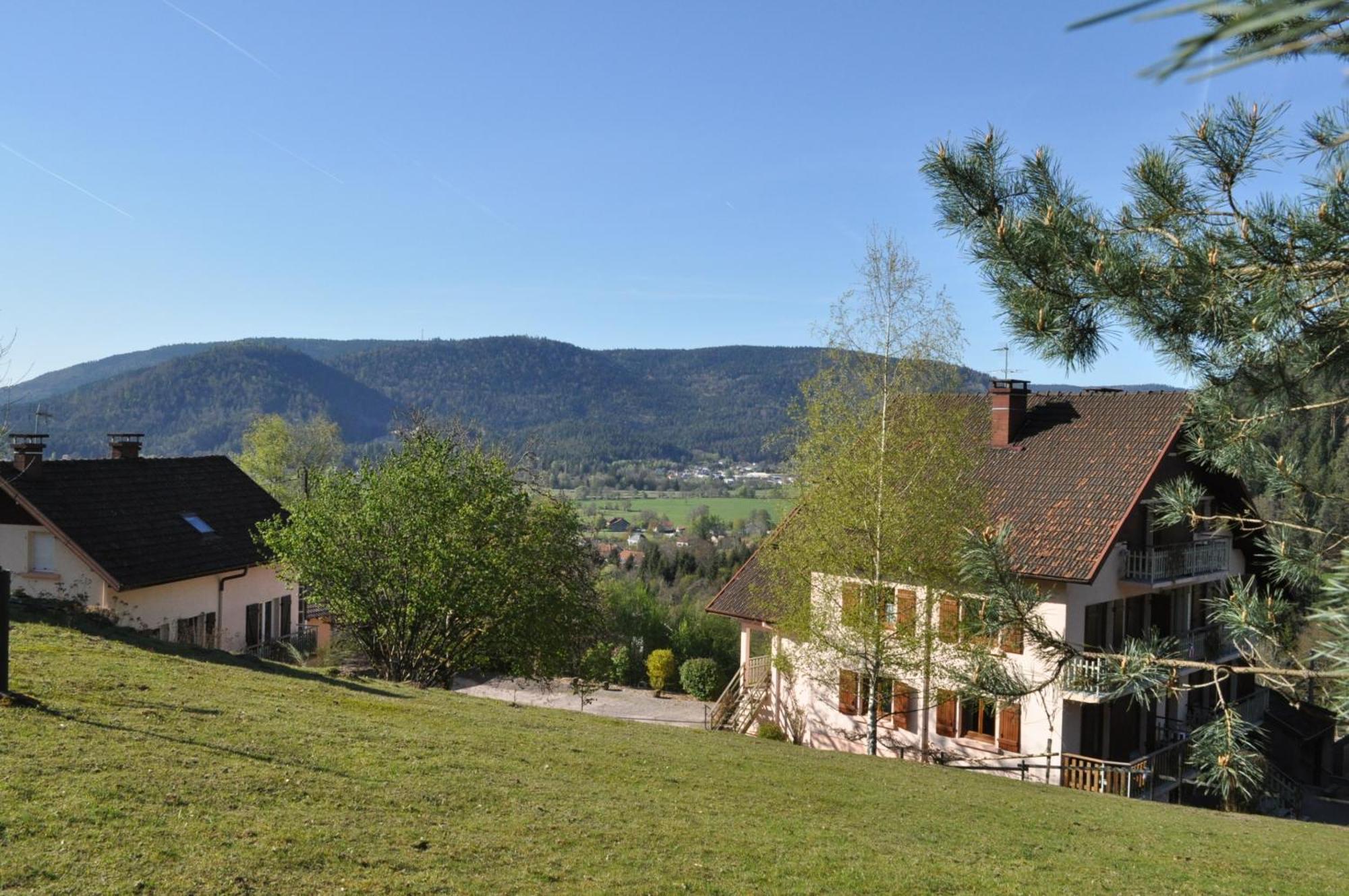 A L'Oree Du Bois Dommartin-lès-Remiremont Pokój zdjęcie