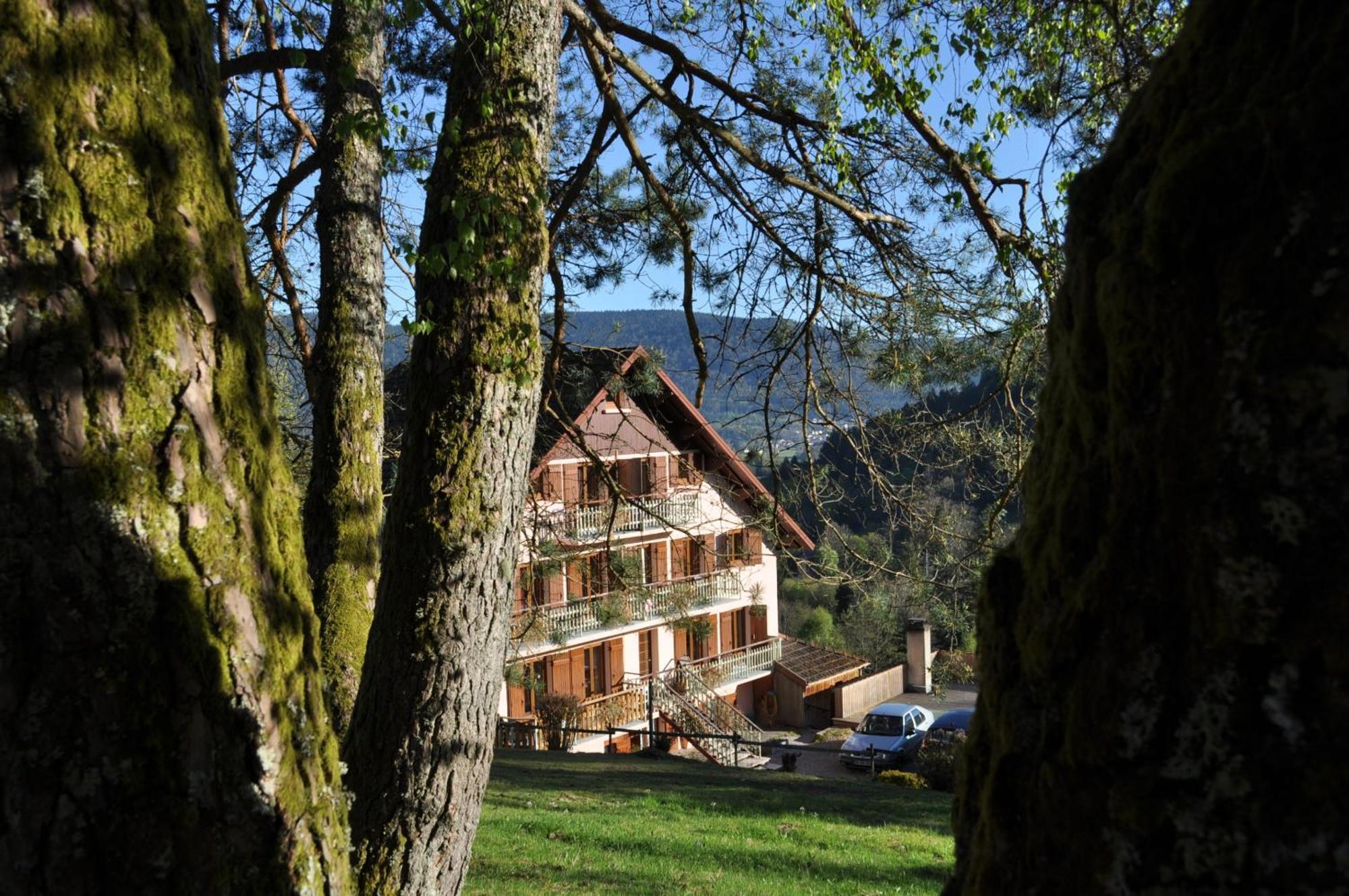 A L'Oree Du Bois Dommartin-lès-Remiremont Zewnętrze zdjęcie