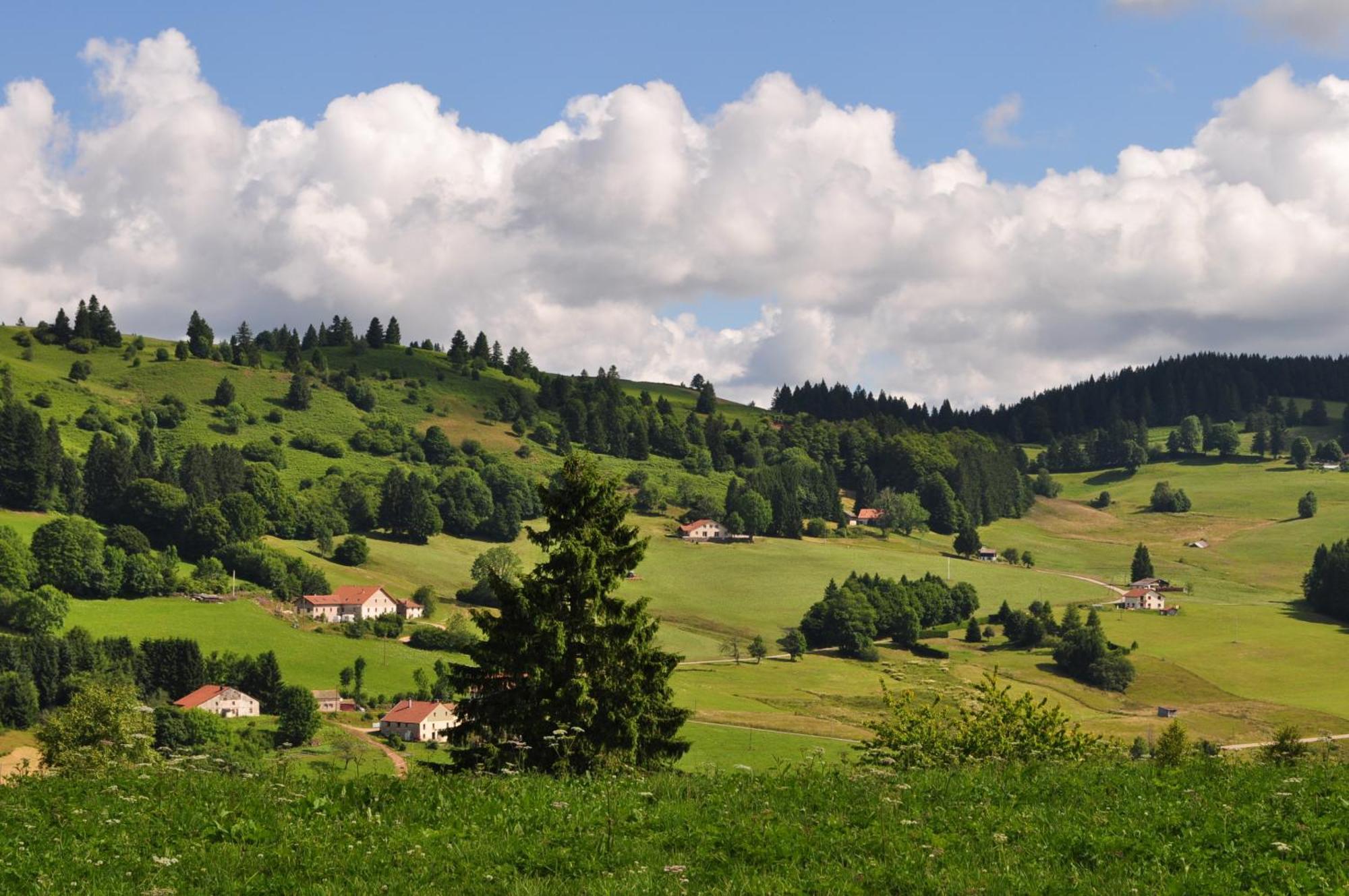 A L'Oree Du Bois Dommartin-lès-Remiremont Pokój zdjęcie